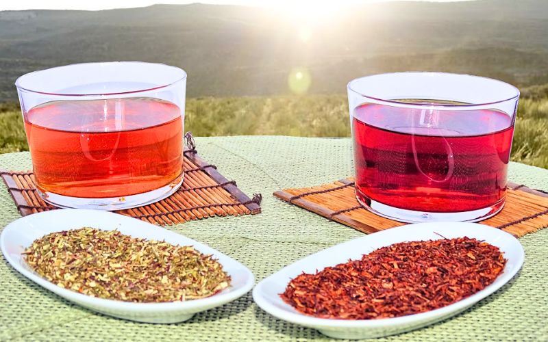 2 tipologie di tè rosso africano La Teiera Eclettica: Rooibos verde e Rooibos rosso