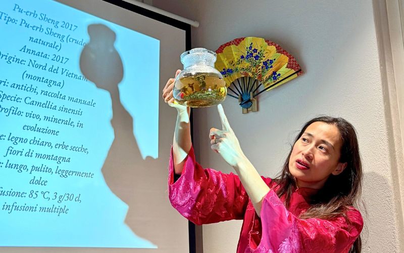 Il tè in Vietnam: cultura e varietà